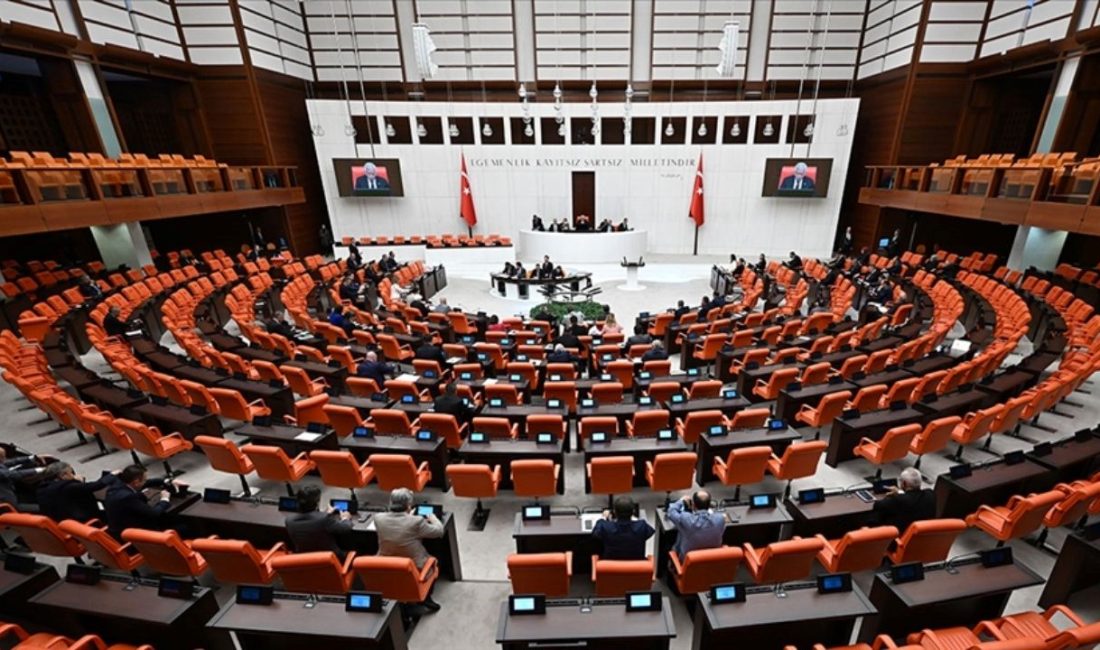 Türkiye Büyük Millet Meclisi (TBMM), 2025 yılı yasama periyodu kapsamında