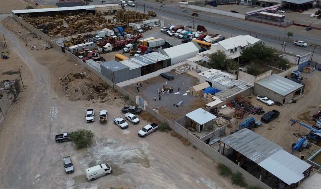 Meksika’da tüyler ürperten bulgu: Ciudad Juarez’de 60 mumyalanmış cesede ulaşıldı.