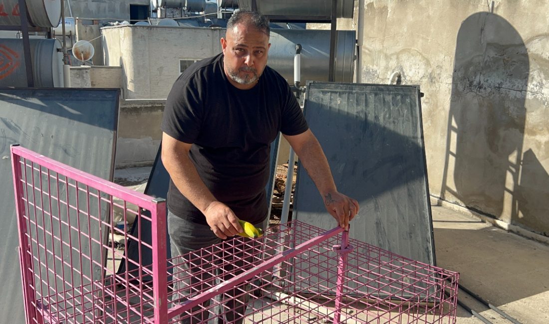 Tarsus ilçesinde son bir aydır pencerelerde ve damlarda gezip hırsızlık