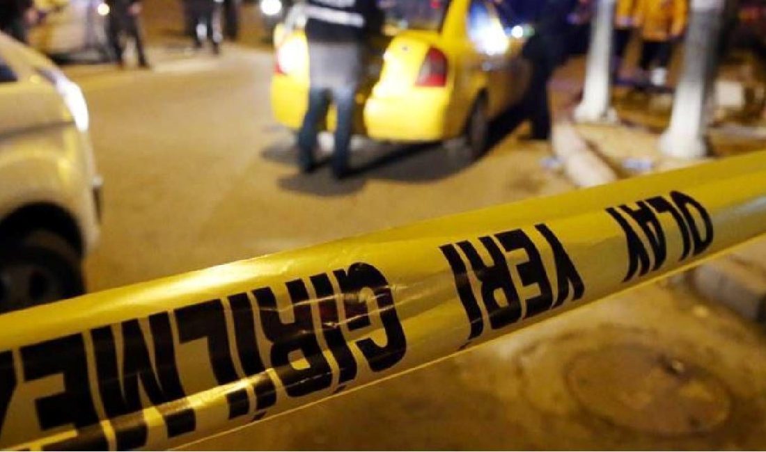 Afyonkarahisar'da şarampole devrilen motosikletin şoförü 75 yaşındaki Ö.E. hayatını kaybetti.