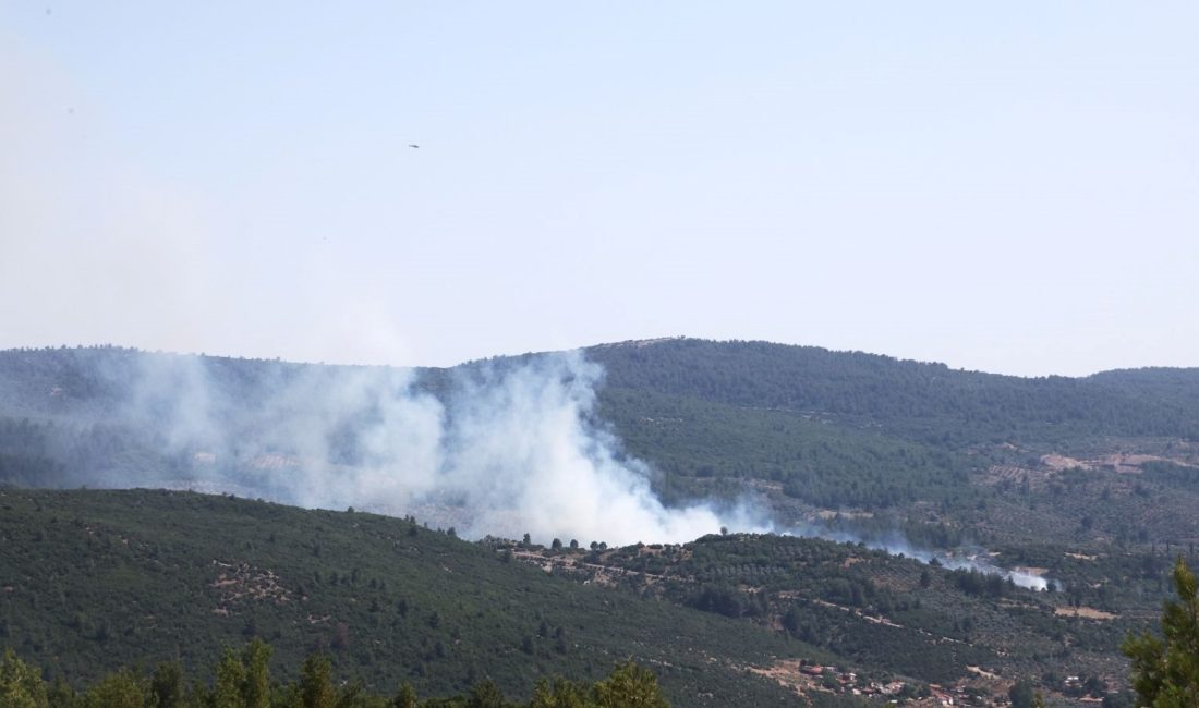 Muğla’da orman yangını: Havadan ve karadan müdahale Muğla'nın Menteşe ilçesi Yeşilyurt Mahallesinde tarım toprağında başlayan yangın ormanlık