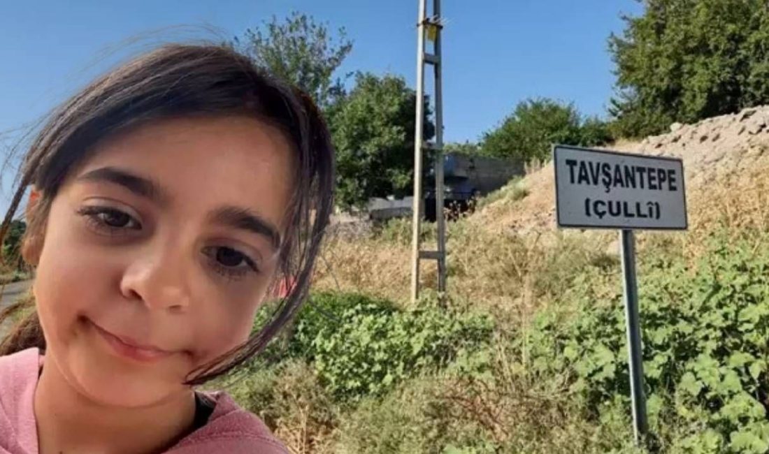 Narin Güran cinayetine ait tutuklanan ağabeyi Enes Güran, avukatları aracılığıyla