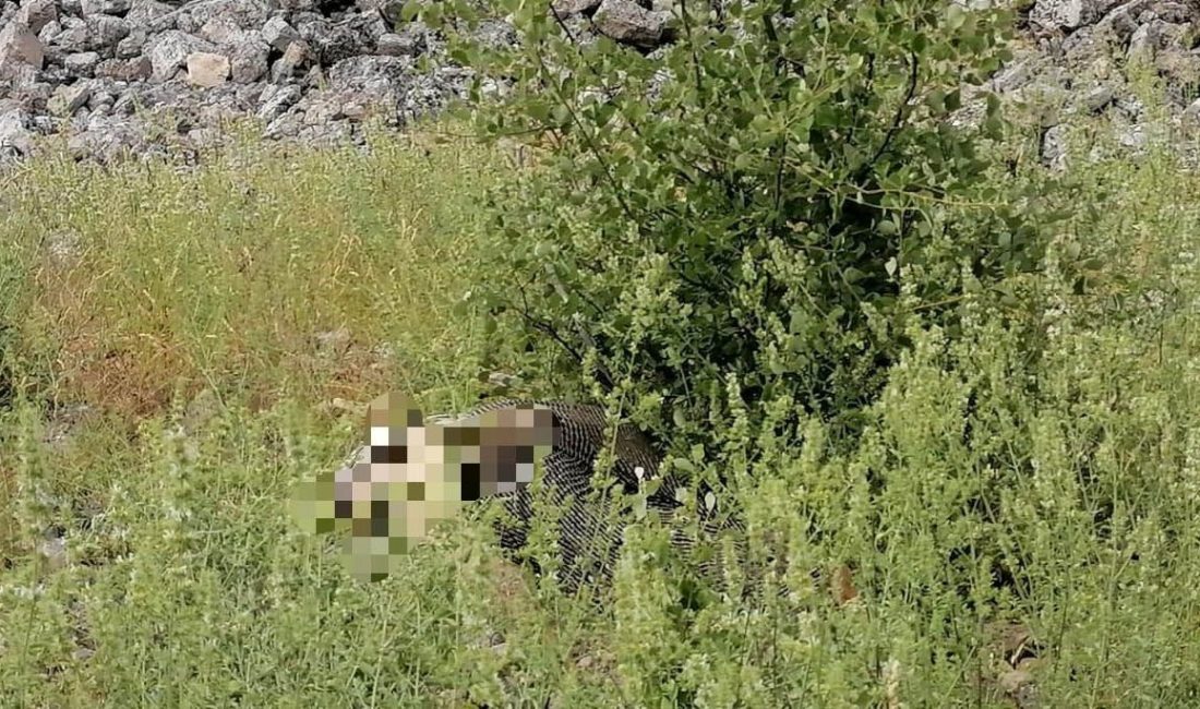 Burdur'da bir kişi ot toplamak için çıktığı kayalıklardan düşerek ömrünü