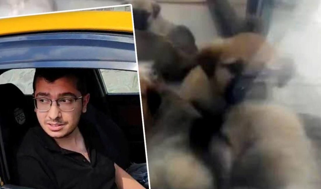 Ankara'da sahiplendiği köpekleri öldürdüğü teziyle tutuklanan doktor Muhammet Mustafa Duman
