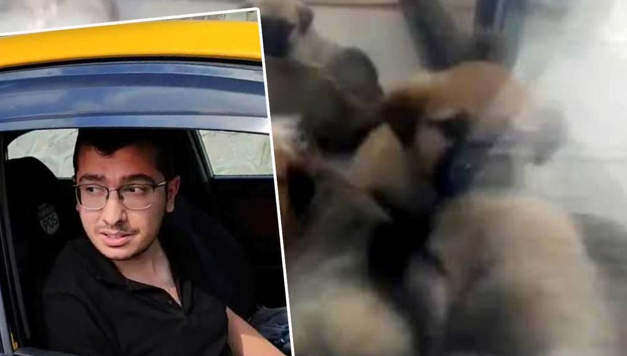 Ankara'da sahiplendiği köpekleri öldürdüğü teziyle tutuklanan doktor Muhammet Mustafa Duman