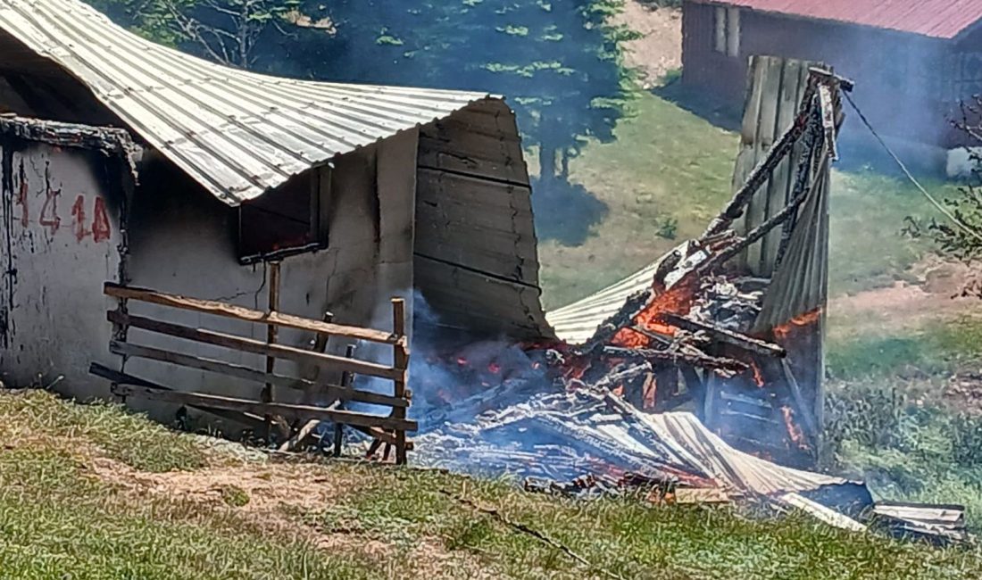 Sakarya'da yayla meskeninde çıkan yangın itfaiye takımlarının müdahalesiyle söndürüldü.