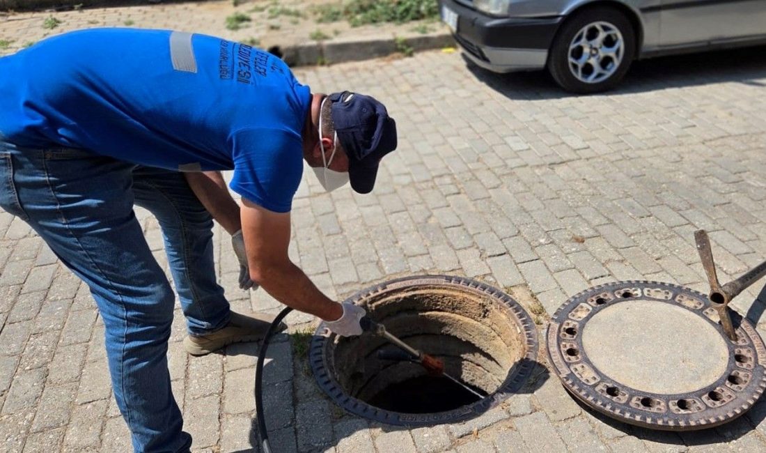 Haşerelerin bastığı Aydın Efeler’de 40 dereceye yaklaşan sıcakta vatandaş kapı