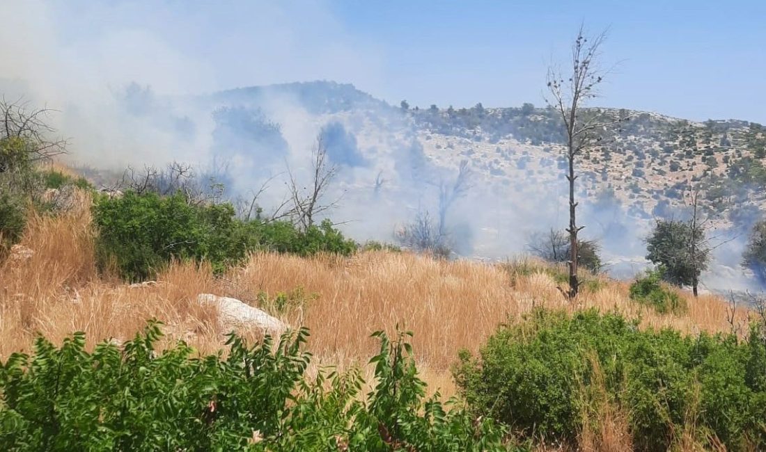 Mersin'in Silifke ilçesinde ağaçlık alanda çıkan yangına havadan ve karadan