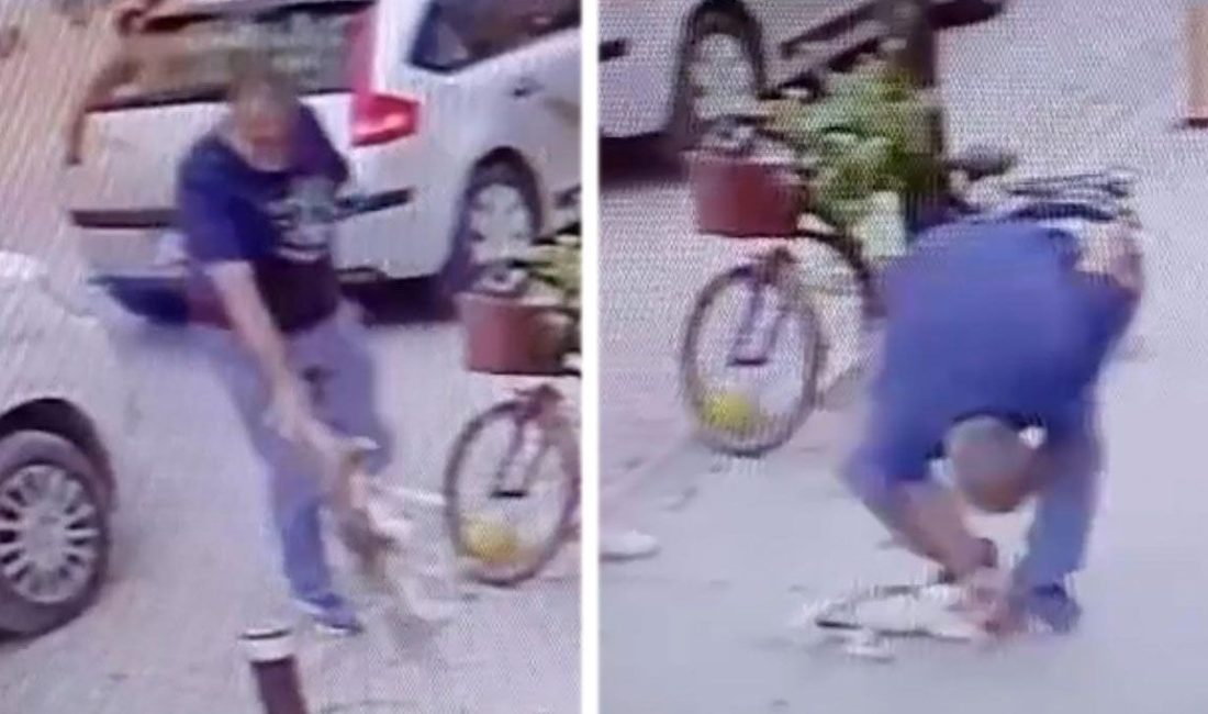 Eskişehir'de iş ortağına ilişkin olduğunu tez ettiği köpeğe sokak ortasında