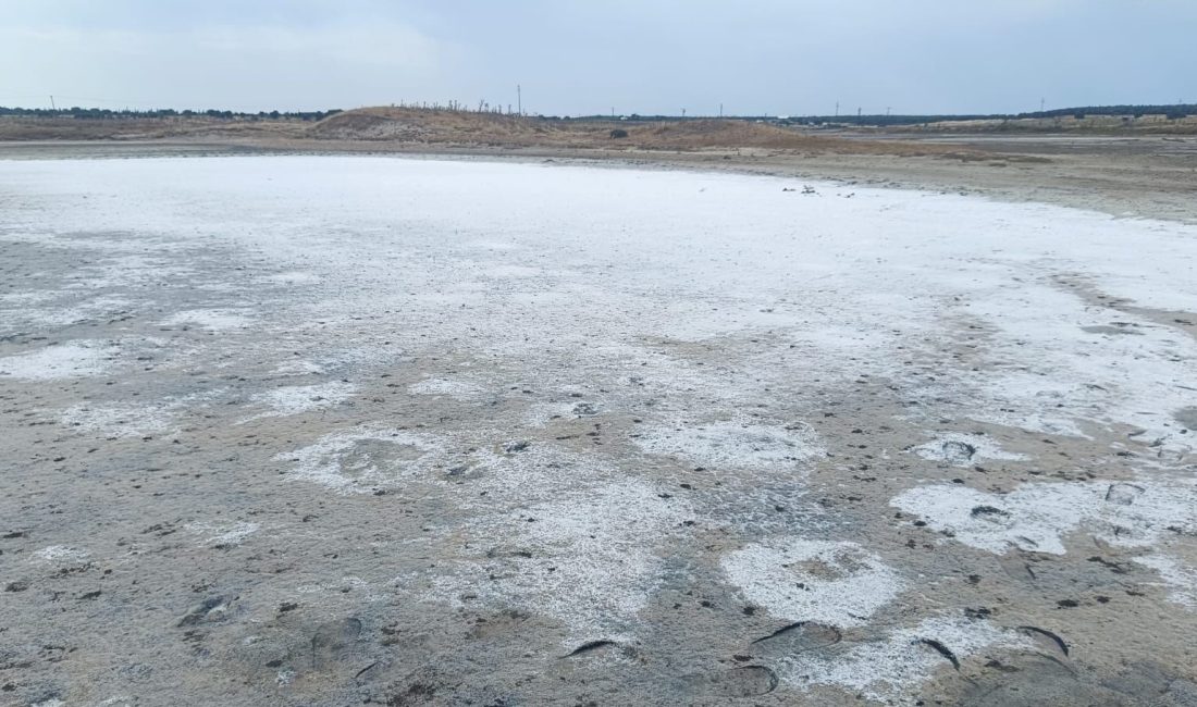 Edirne'nin Enez ilçesinde çok sıcaklar nedeniyle Taşaltı Gölü buharlaştı. Gölün