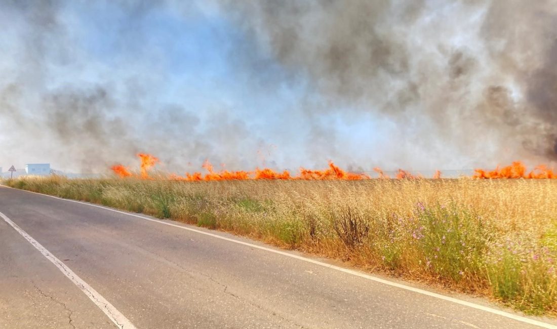 Tekirdağ Ergene ilçesi ile Saray ilçesi hududundaki kırsalda meydana gelen