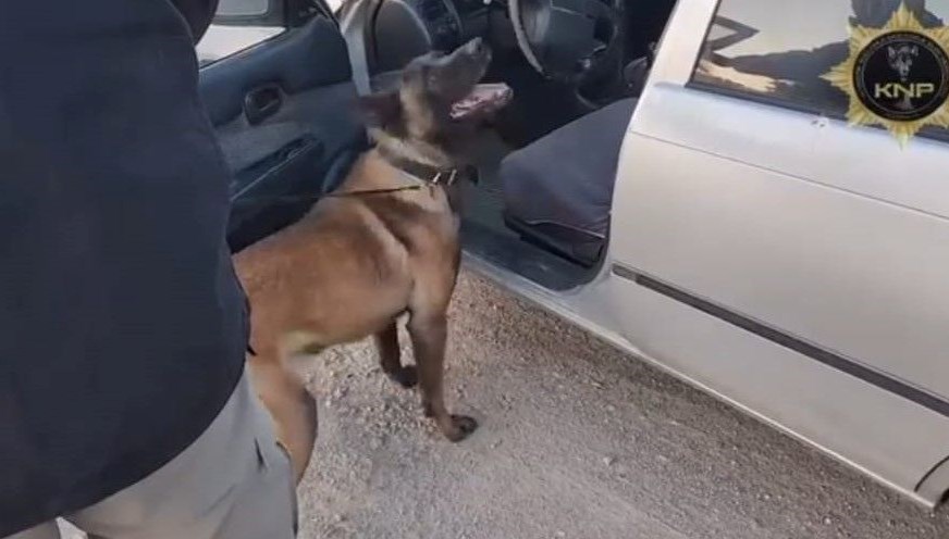 Kütahya'da düzenlenen uyuşturucu operasyonunda narkotik köpeği Thor, bir araçtaki uyuşturucu