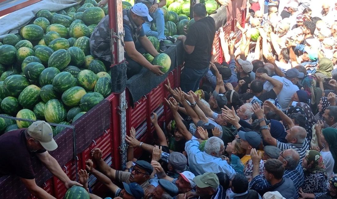 Tokat'ta karpuz üreticisi Mehmet Kutsal, Adana’dan getirdiği bir TIR karpuzu