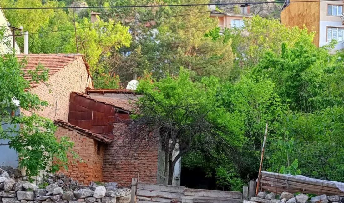 Kütahya'nın tarihi dokusunda değerli bir yer tutan Balabaniye Medresesi, halk