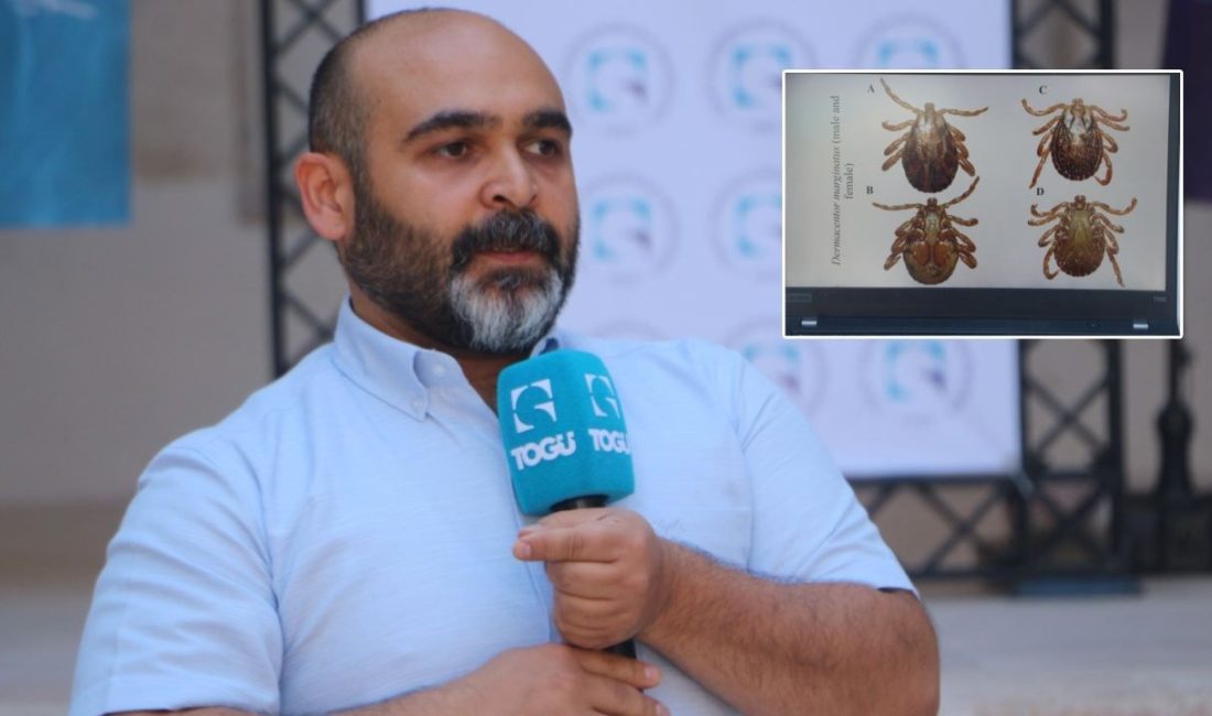 Prof. Dr. Adem Keskin, keneyi çıkarırken yapılan yanlışlara dikkat çekti,