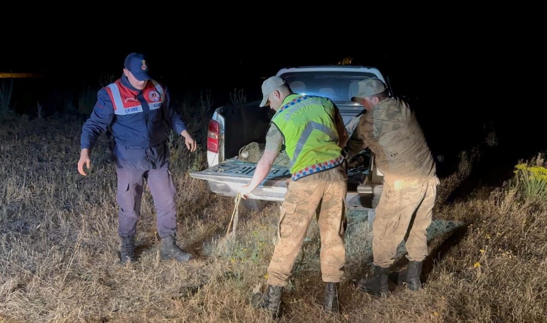 Van Gölü’nde bir hafta içinde kaçak avlanmış 1,5 ton inci
