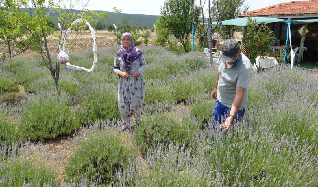 Kütahya’nın Aloğlu köyünde yaşayan İsmail ve Emine Daşgın çifti, hobi