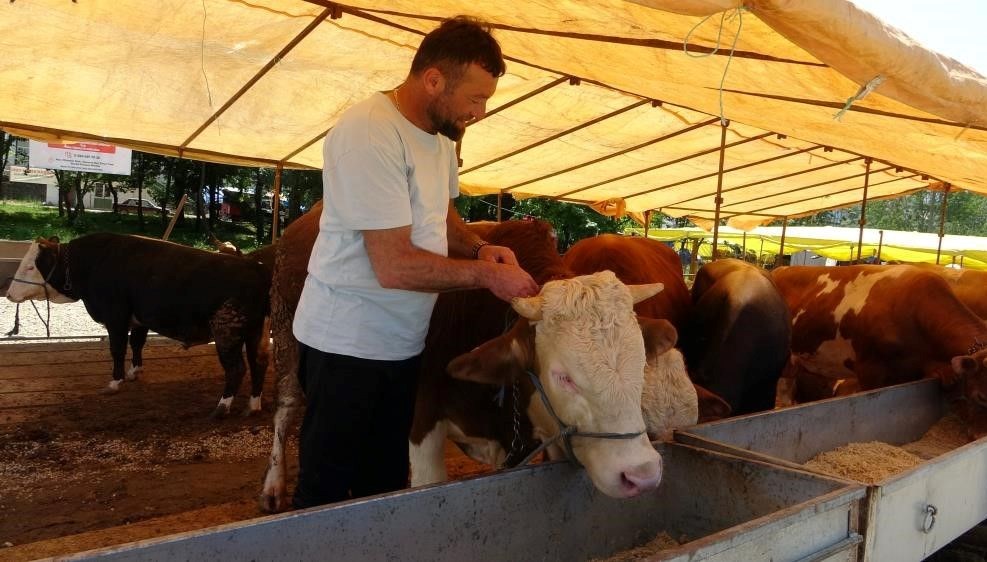 Tarım ve Orman Bakanlığı Besin ve Kontrol Genel Müdürlüğü, 81