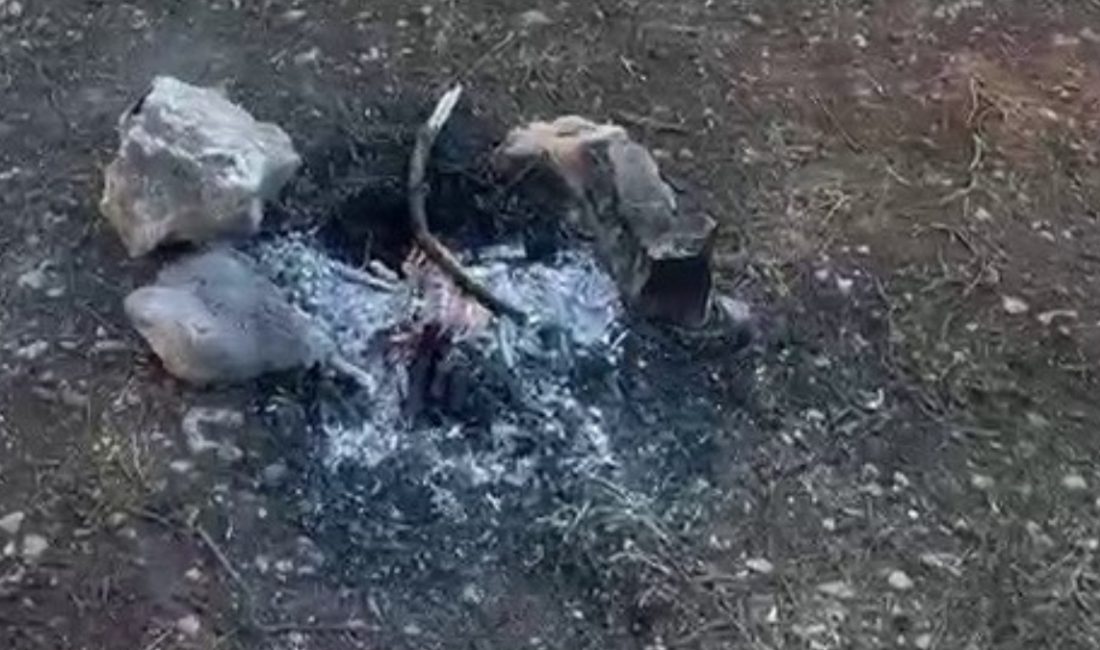 Kent merkezinde bulunan Ali Dağı Mesire Alanı'nda, ormanlık alan içerisinde