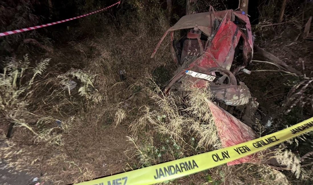 Söke'de yoldan çıkarak ağaca çarpan otomobiledki 2 kişi öldü.