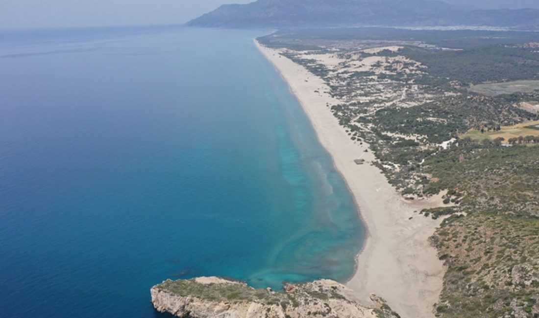 Akdeniz'de deniz suyu sıcaklığı 1,5 derece artarken balıkçılığın değerli çeşitleri,