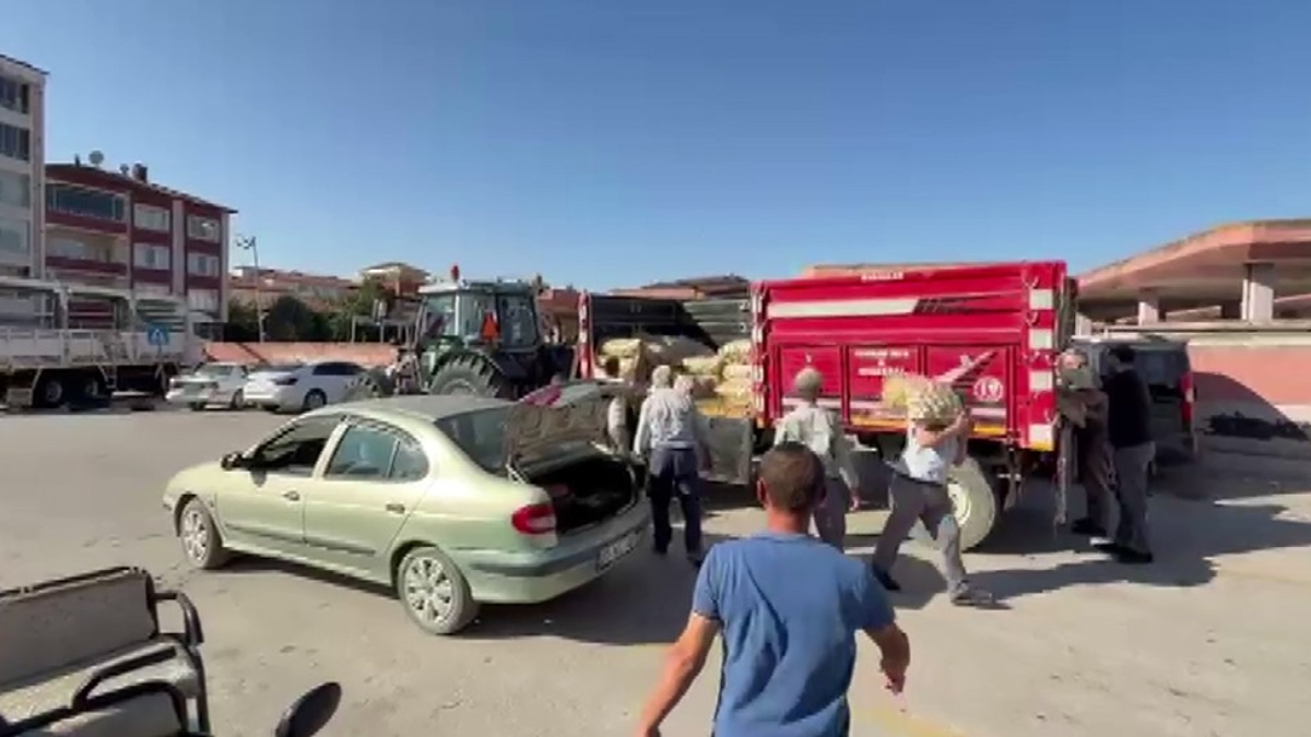 Suluova ilçesinde genç çiftçi, tarlasında hasat ettiği 8 ton patatesi