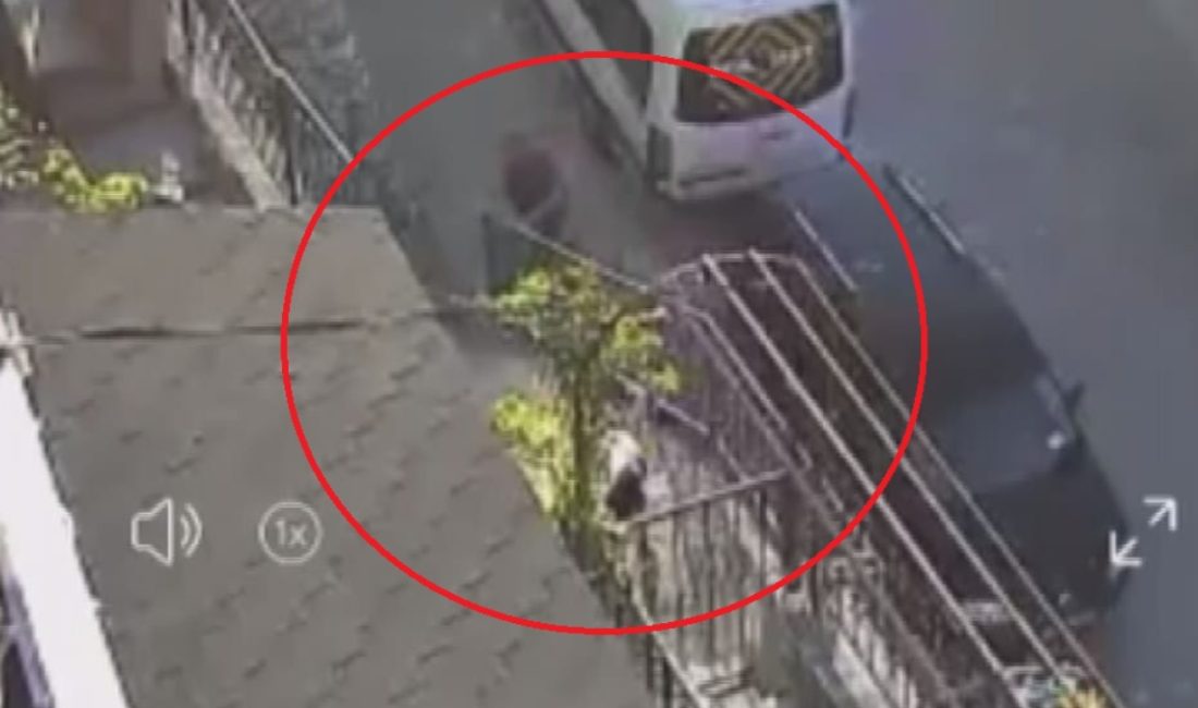 Kent merkezinde bir şahıs havlamasından rahatsız olduğu köpeğe taş ve