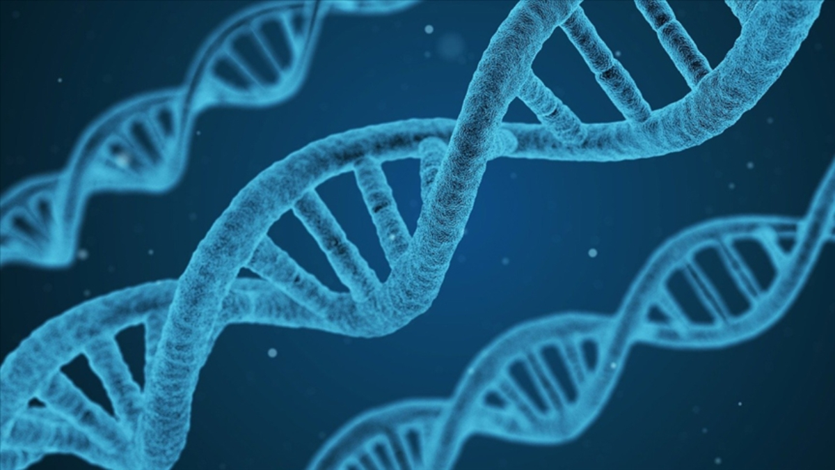 Genetik mirasımız, bizi biz yapan birçok özelliğin gerisindeki en büyük