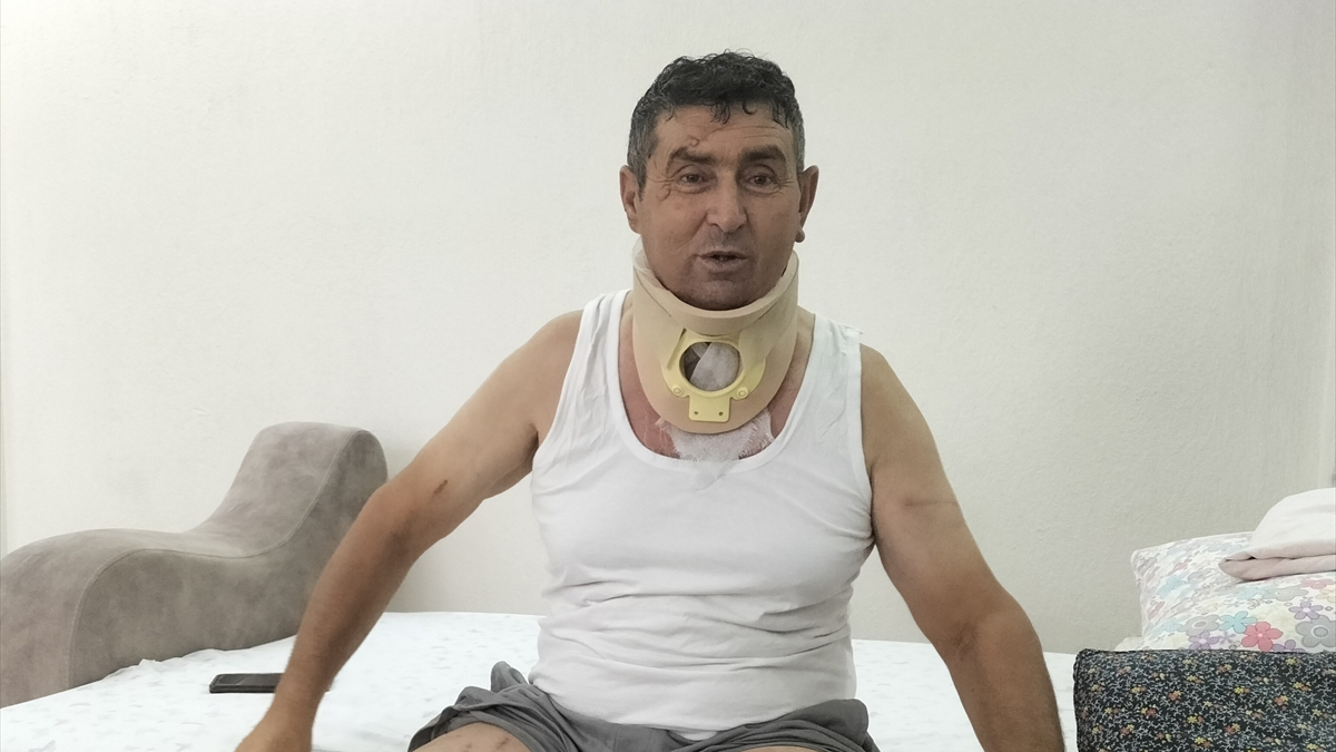 Manavgat ilçesinde hayvan parkından kaçan aslanın saldırması sonucu yaralanan Süleyman