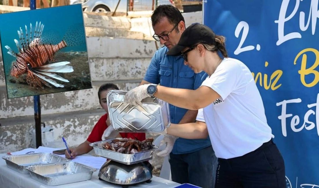 Antalya Demre'de, istilacı çeşitlerin en tehlikelilerinden olan aslan balığı için