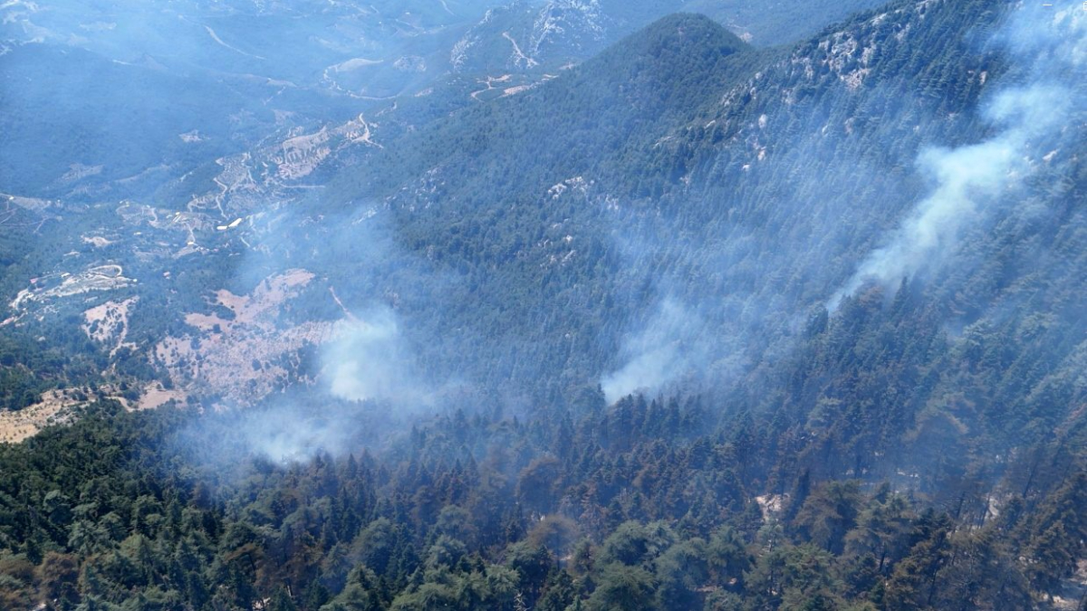 Gazipaşa'da cuma sabah saatlerinde başlayan orman yangını, 2'nci gününde de