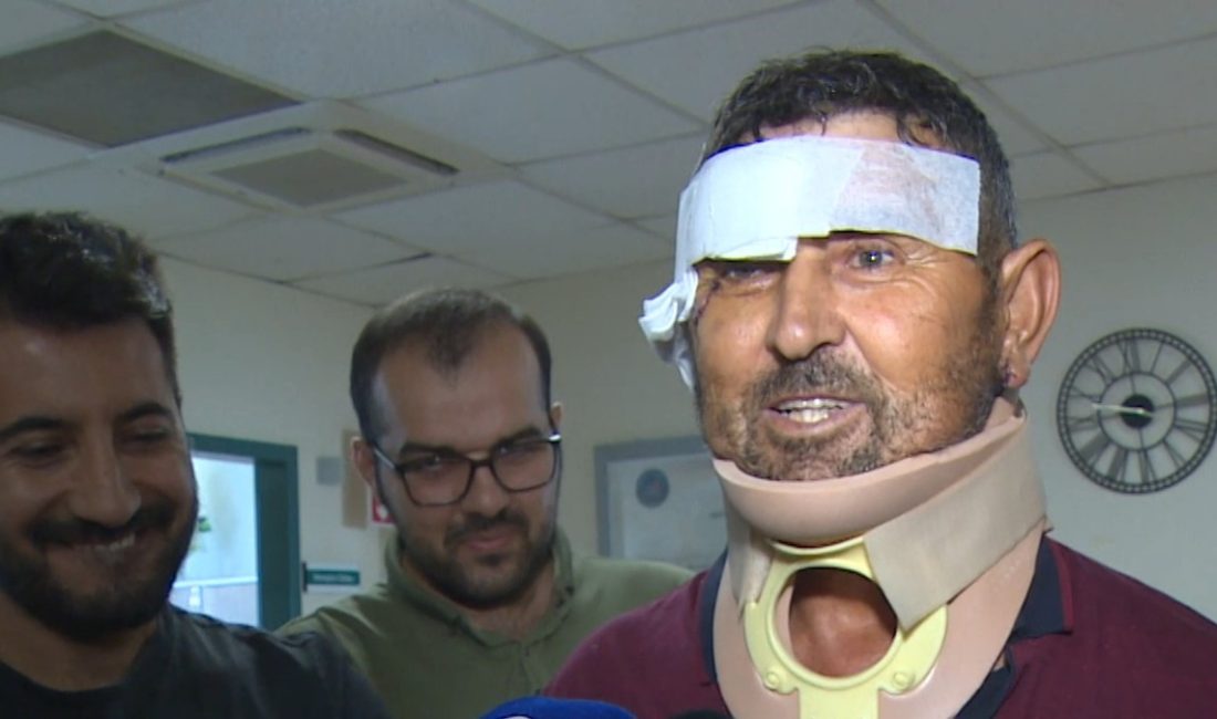 Antalya'da hayvan parkında kafesten kaçan aslanın saldırısı sonucu yaralanan çiftçi