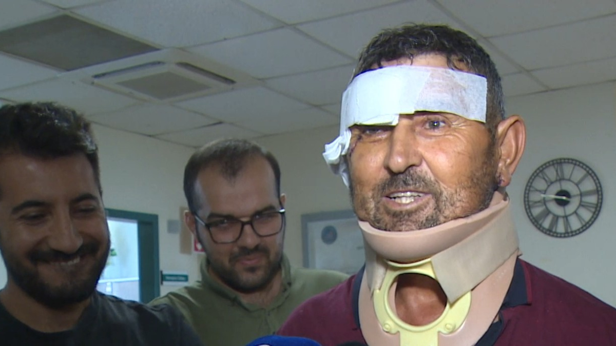 Antalya'da hayvan parkında kafesten kaçan aslanın saldırısı sonucu yaralanan çiftçi