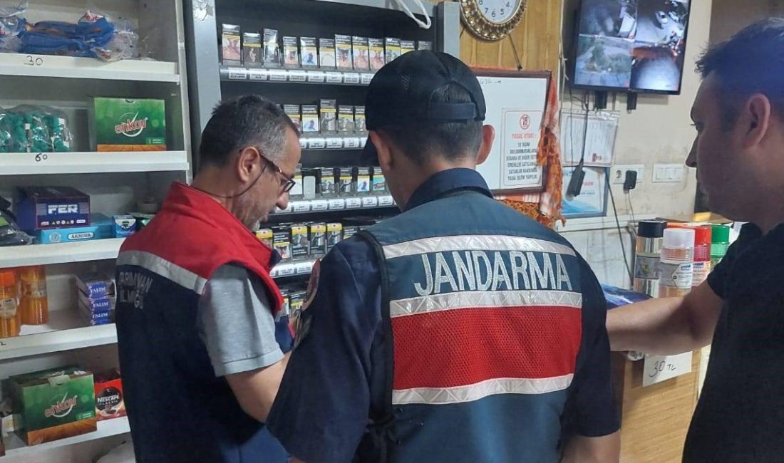 Aydın'ın Sultanhisar ilçesinde jandarma takımları tarafından sıcak nokta uygulaması gerçekleştirildi.