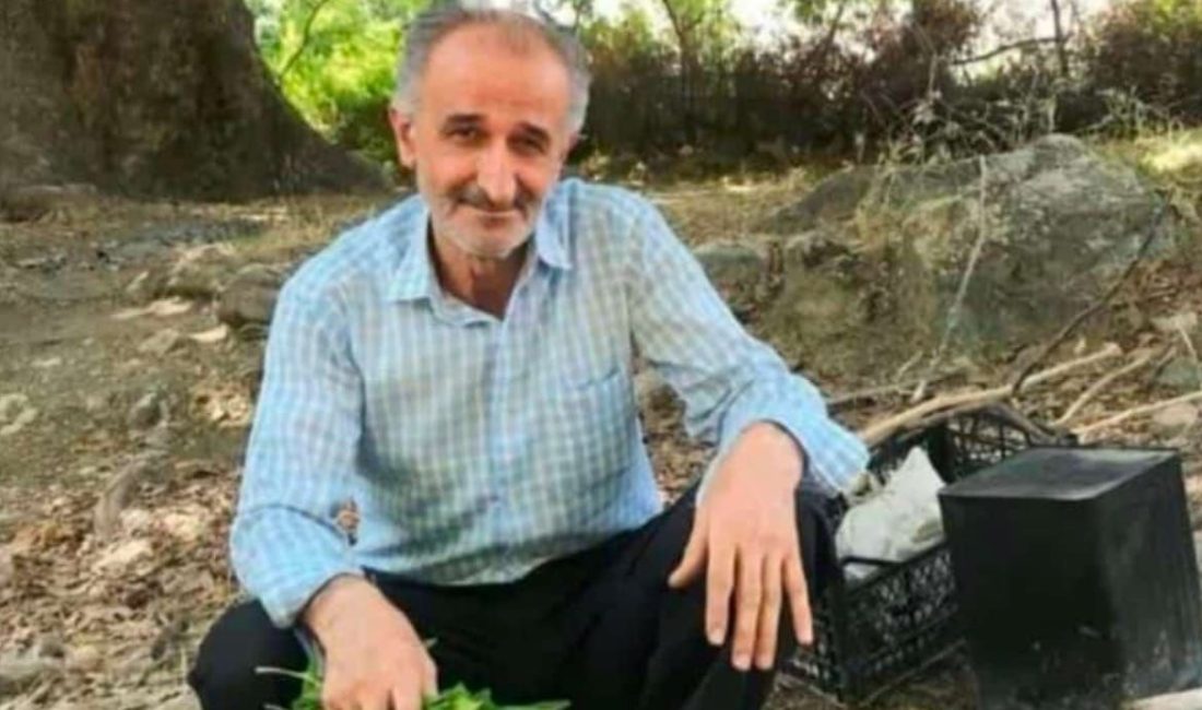 Siirt'in Baykan ilçesinde bahçesini sulamak için çıktıktan sonra haber alınamayan