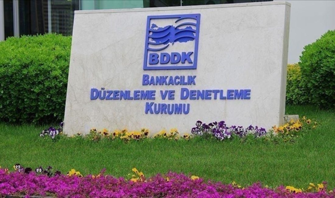 Bankacılık Düzenleme ve Denetleme Kurumu (BDDK), kredi kartı ve muhtaçlık