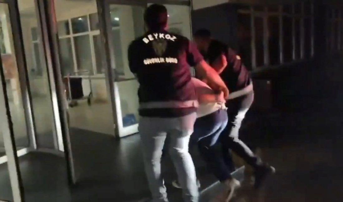 İstanbul Beykoz'da işaret fişeği atarak orman yangınına sebep olan kişi