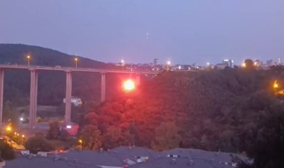 İlçedeki bir ağaçlık alanda çıkan yangına neden olan A.A. isimli