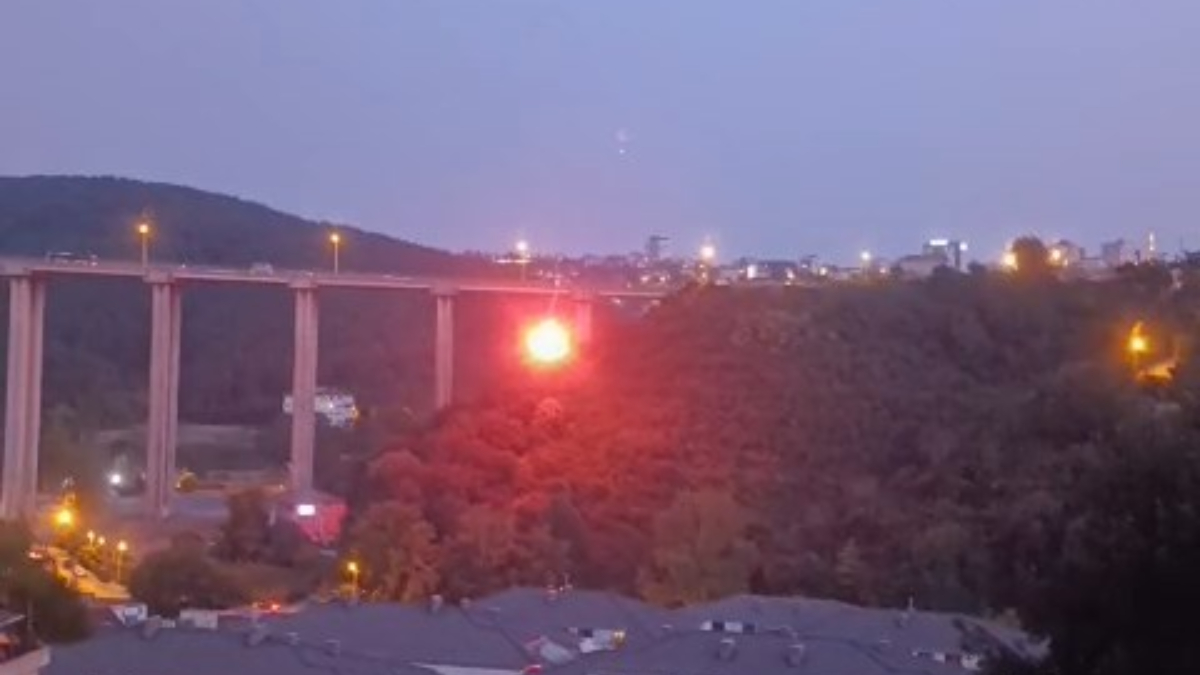 İlçedeki bir ağaçlık alanda çıkan yangına neden olan A.A. isimli