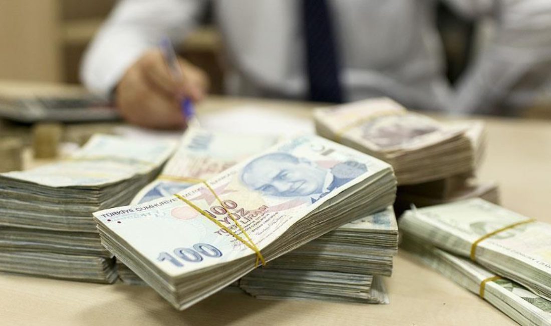 Bankacılık Düzenleme ve Denetleme Kurumu (BDDK), kredi kartı ve gereksinim
