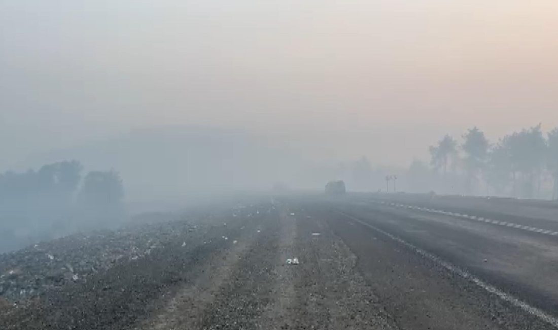 Bursa'nın Orhaneli ilçesi Harmancık yolu Meyran mevkiinde orman yangınına müdahale