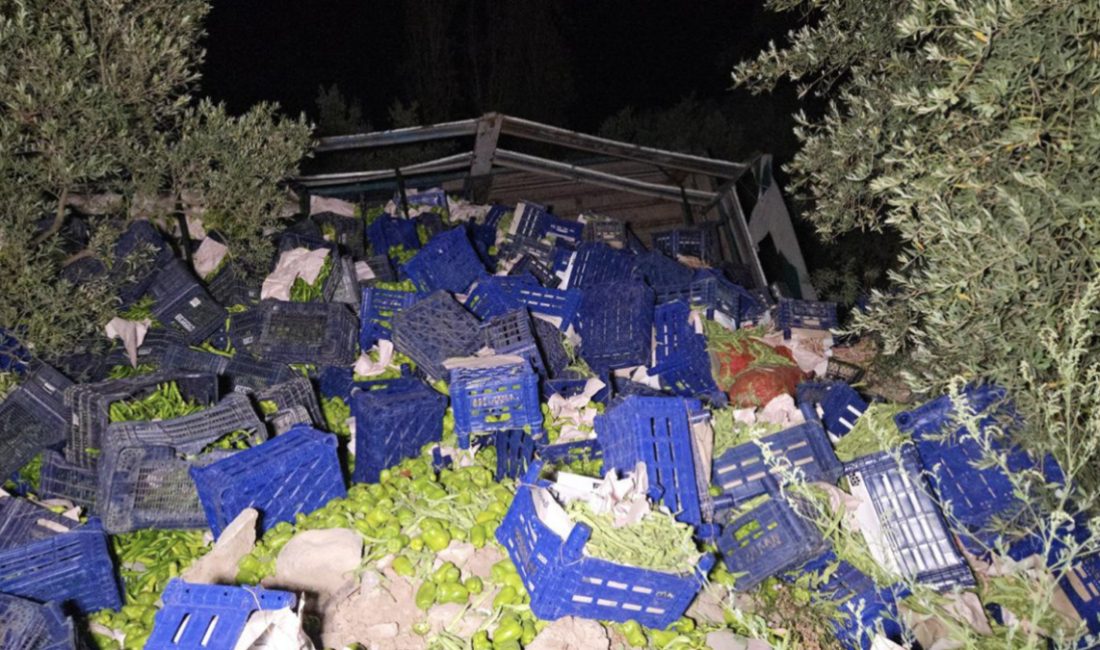 Orhangazi ilçesinde denetimden çıkan kamyon zeytinliğe devrildi. Kamyon şoförü takımlar