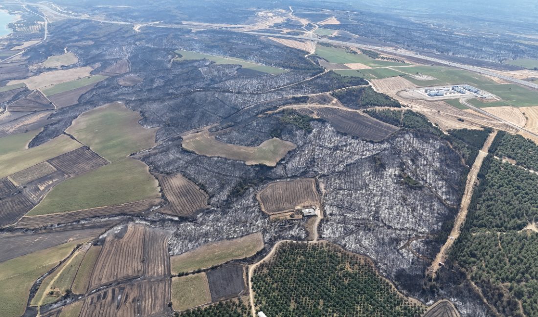 Tekirdağ’ın Şarköy ilçesinde başlayıp, rüzgarında tesiriyle Çanakkale’nin Gelibolu ilçesine ulaşan