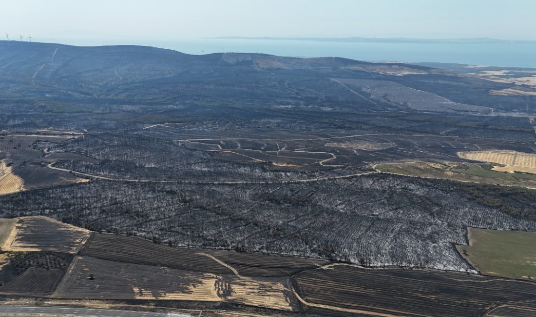 Şarköy’de başlayan ve rüzgarın tesiriyle Çanakkale'nin Gelibolu ilçesine kadar yayılan