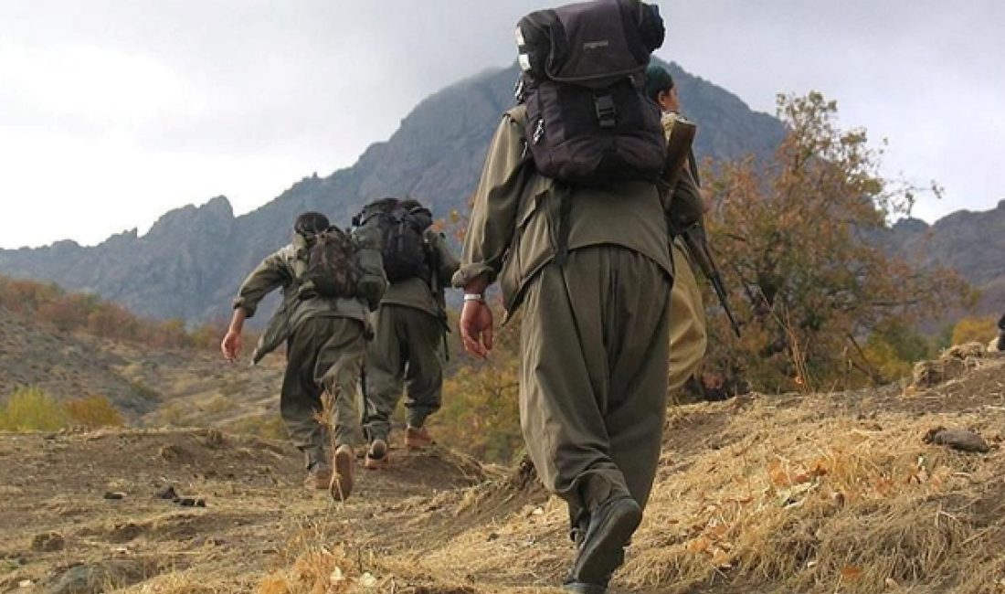 PKK'nın fesih ve silah bırakma sürecinde kritik aşama başlıyor. DEM