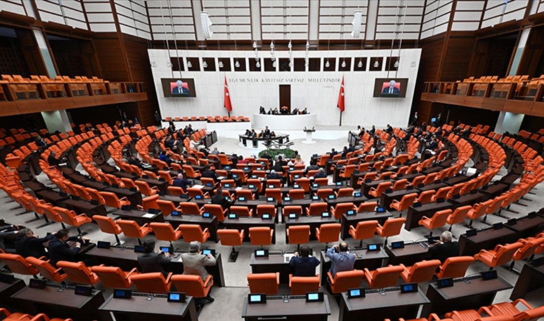 DEM Parti TBMM'de kurulacak komiteye üye olarak Gülistan Kılıç Koçyiğit,