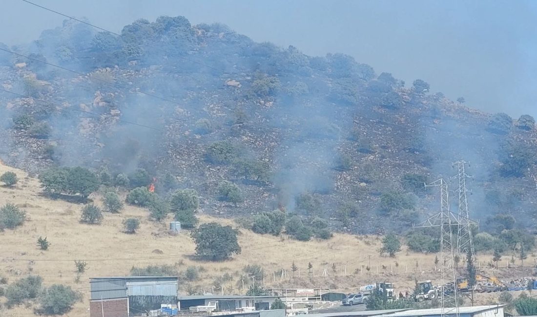 İzmir'i Dikili ilçesinde makilik alanda çıkan yangın ormana sıçradı. İzmir-Çanakkale