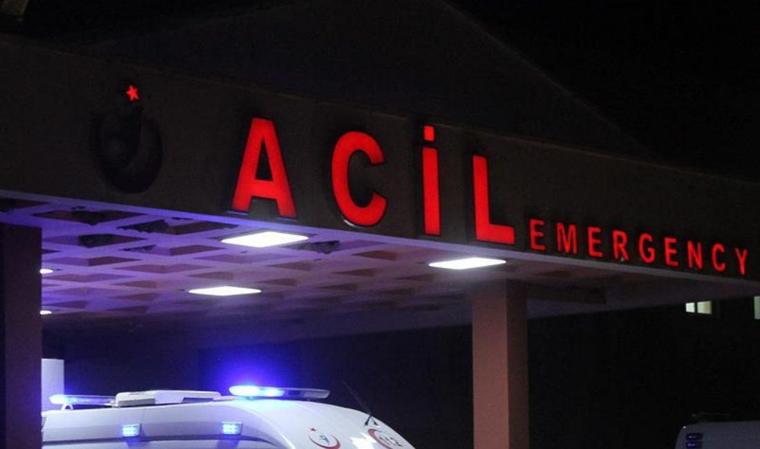 Düzce'de arının soktuğu 70 yaşındaki bayan hayatını kaybetti. Olayla ilgili