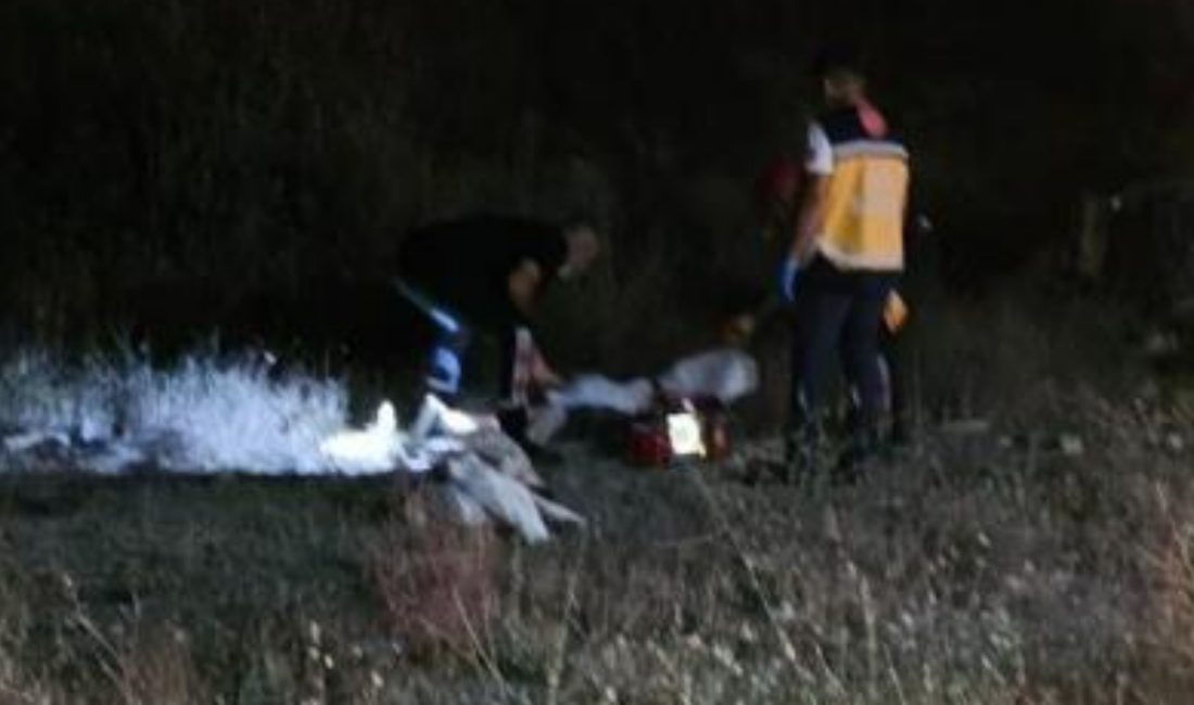 Elazığ'da arabanın devrilmesi sonucu 2 kişi hayatını yitirdi, 2 kişi