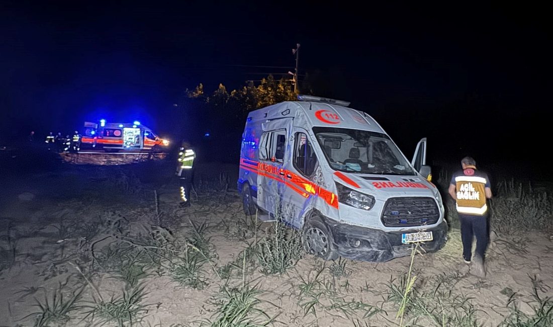 Elazığ'da hasta taşıyan ambulansın denetimden çıkarak ağaçlara ve tel çite
